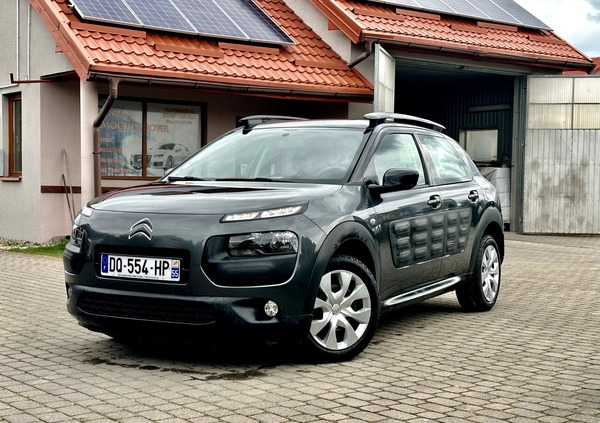 Citroen C4 Cactus cena 36400 przebieg: 95888, rok produkcji 2015 z Ostrołęka małe 106